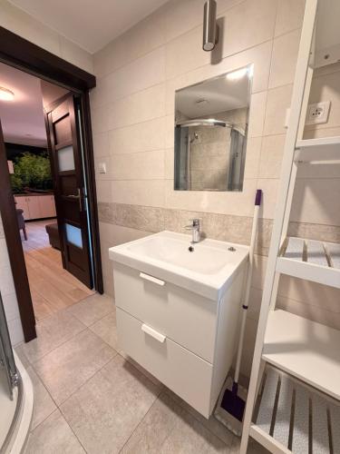 a bathroom with a white sink and a ladder at Zefir Domek nr 5 in Dąbki