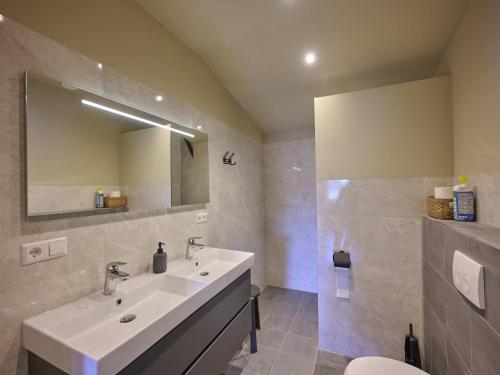 a bathroom with a sink and a mirror at Sientjeshof 2 in Diessen