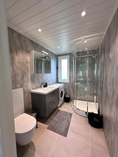 a bathroom with a toilet a sink and a shower at Cozy Home in Sortland in Sortland