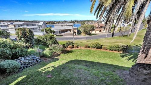 a view of a yard with a palm tree at The Escape in Merimbula