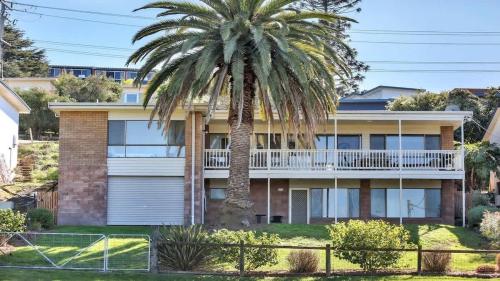 a palm tree in front of a house at The Escape in Merimbula