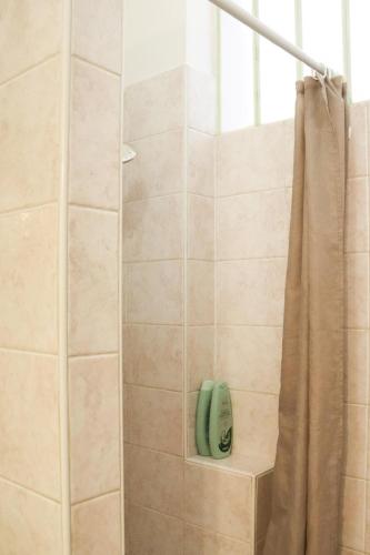 a bathroom with a shower with a green soapenser at Sanremo Apartments - Ortensia in Sanremo