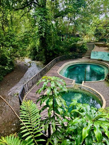 a swimming pool in a garden with a wooden bridge at Nawala Eco-hostel in Termales - agua caliente - nuqui
