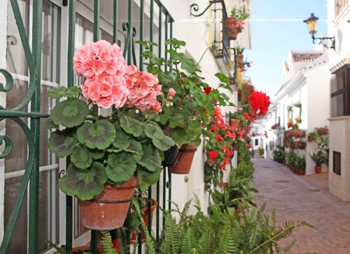 I AM La Posada Hotel and Apartment photo 258