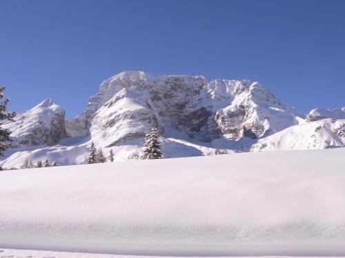 a mountain covered in snow with trees in the foreground at Sporthotel Rasen in Rasùn di Sotto