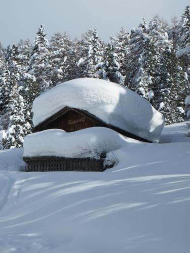 a house covered in snow with trees in the background at Sporthotel Rasen in Rasùn di Sotto