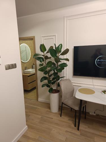 a living room with a tv and a potted plant at Blue Perła Premium in Kutno