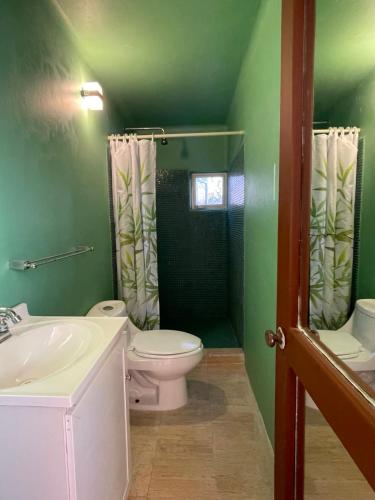 ein grünes Badezimmer mit Toilette und Waschbecken in der Unterkunft Milky Way in San Miguel del Puerto