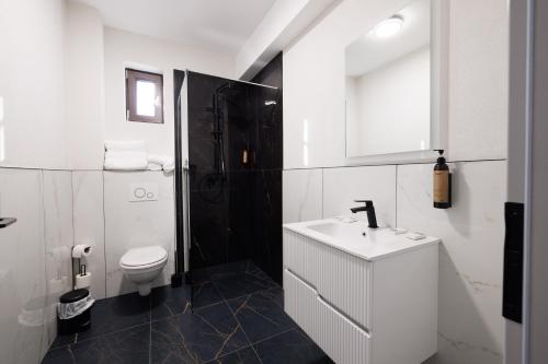 a white bathroom with a sink and a toilet at Hotel Mariss in Alba Iulia