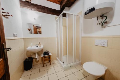 a bathroom with a toilet and a sink at Statek VRANČ - U Kačenky in Bítov
