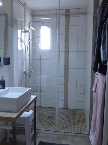 a bathroom with a shower and a sink at Les Chambres D'Anel in Saint-Pourçain-sur-Besbre