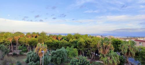 Palm apartments 2-BR Family Suite & Park View