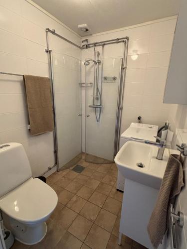 a bathroom with a shower and a toilet and a sink at Halsmo 6 in Kil