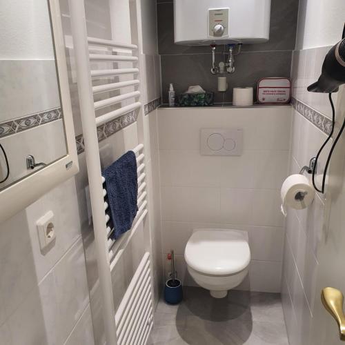 a small bathroom with a toilet and a sink at Ferienappartment Op n böhn in Nordstrand