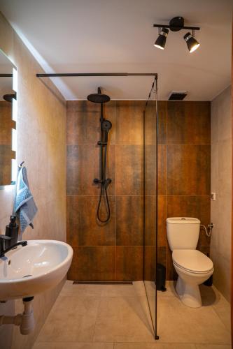 a bathroom with a shower and a toilet and a sink at DOMKI POD JARZĘBINĄ in Puck