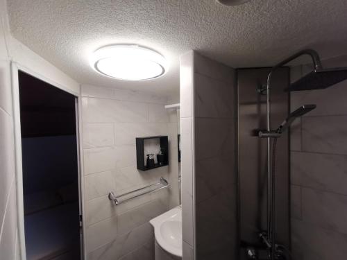 a bathroom with a shower and a sink at Apart Ponholz in Hart im Zillertal