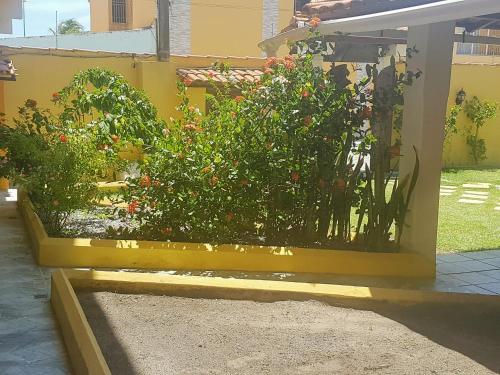 a garden with flowers in a yellow planter at Pousada Paradise in Alcobaça