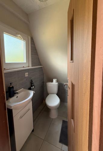 a small bathroom with a toilet and a sink at Domki Brzozowy Zakątek in Sochy