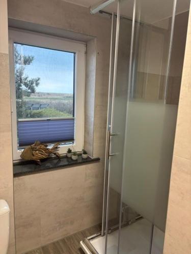 a bathroom with a glass shower and a window at Haus Mohnke in Hiddensee