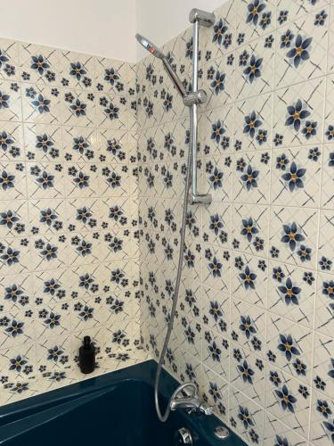 a bathroom with a shower with blue and white tiles at Angel du Mont in Pontorson