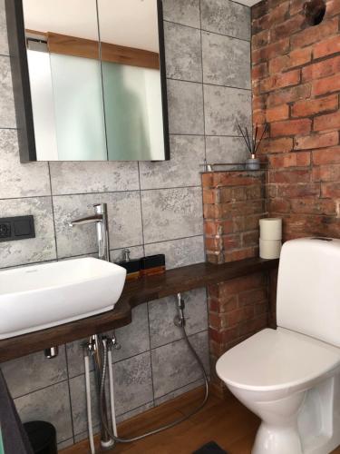 a bathroom with a white sink and a toilet at Aavik Apartment in Kuressaare