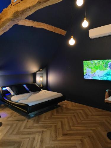 a bedroom with a bed and a flat screen tv at calme et volupté in Maxilly-sur-Saône