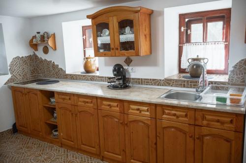 a kitchen with wooden cabinets and a sink at Behív-Lak in Medişoru Mic