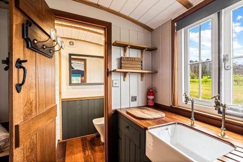 a bathroom with a sink and a toilet at Berry Brook in Oakengrove Vineyard in Fawley