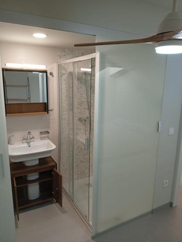 a bathroom with a shower and a sink at Loureiros Dorm in Santiago de Compostela