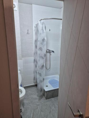 a bathroom with a shower and a toilet at Qonaq Hostel in Astana