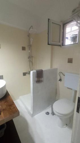 a bathroom with a toilet and a sink at evgenias studio 2 in Gaios