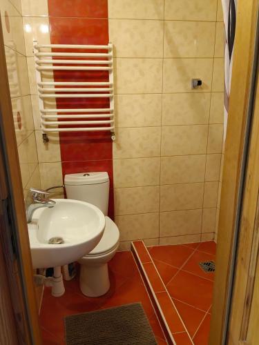 a small bathroom with a toilet and a sink at Wczasy z Wędką in Gardna Wielka