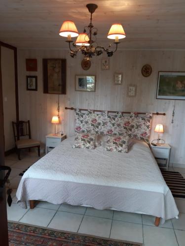 a bedroom with a large bed with a dog laying on it at La ferme sympa in Droyes