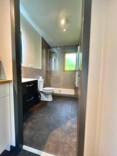 a bathroom with a toilet and a sink at Chalet 6 personnes ou studio 2 personnes in Ax-les-Thermes