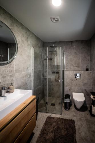 a bathroom with a shower and a sink and a toilet at Sodyba Biruta in Tautrimai