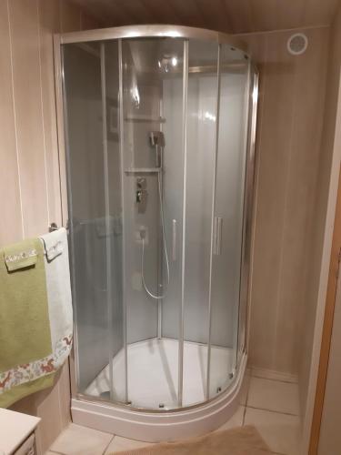 a shower with a glass door in a bathroom at La ferme sympa in Droyes