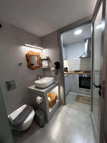 a small bathroom with a toilet and a sink at Mezzo Patmos Apartments in Patmos