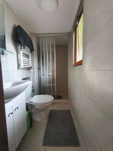 a bathroom with a toilet and a sink and a shower at Chata Vanessa in Stránske