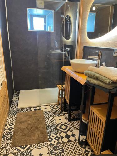 a bathroom with a sink and a shower at Gîte des vergnioux in Ayat-sur-Sioule