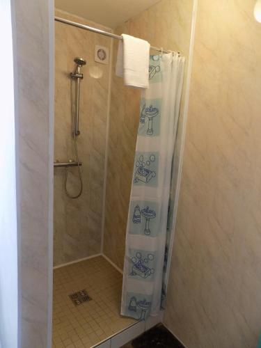 a shower with a shower curtain in a bathroom at The Old Creamery Ventry in Ventry