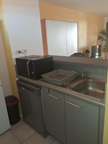 a kitchen counter with a microwave and a sink at Cozy & Zen in Saint-Denis