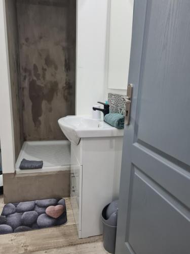 a bathroom with a sink and a shower with purple towels at Gambetta Insolite in Chambéry