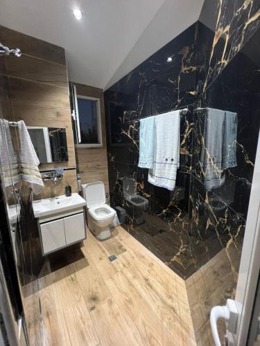 a bathroom with a toilet and a sink and a shower at Rent Room Albano in Vlorë