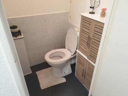a bathroom with a white toilet and a sink at Cozy Private Room -5 mins from CERN -Shared Apartment in Saint-Genis-Pouilly