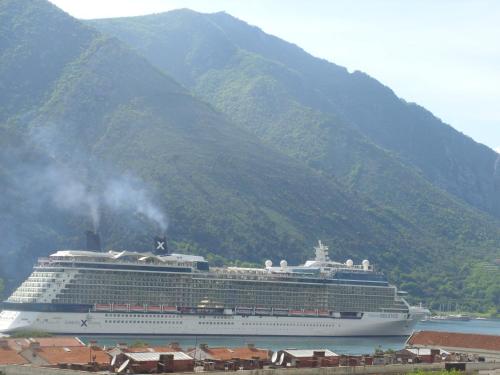 a cruise ship in the water near a mountain at Apartments Dakovic in Kotor