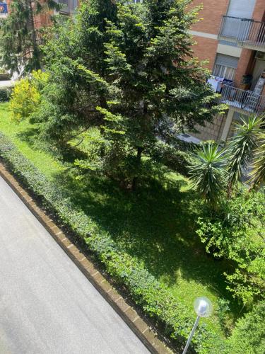Michele Lux Lodge - 6 People - Spotless - 3 stops from Vatican, 4 stops from Colosseum photo 51