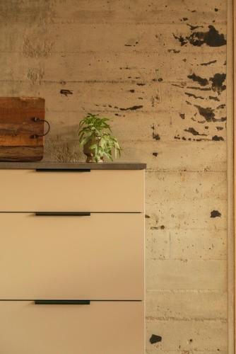 a plant sitting on top of a dresser at Á Varða Apartments in Tórshavn