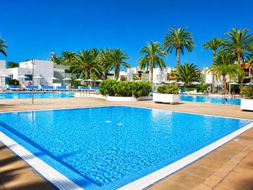 Primavera Pool Paradise