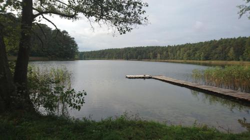 a dock in the middle of a lake at FitnessFun in Krzyż