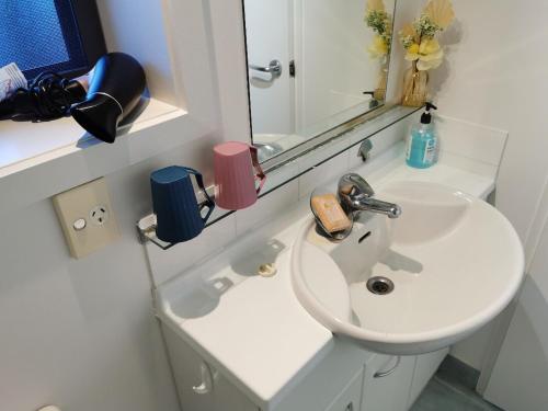 a bathroom with a white sink and a mirror at warm, quiet and convenient ! in Auckland